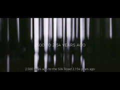 Promoção da empresa