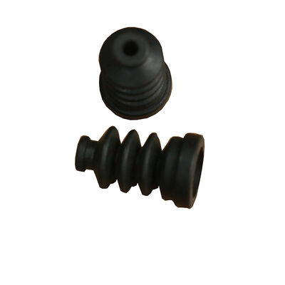 Foca faltenbalg para Muller